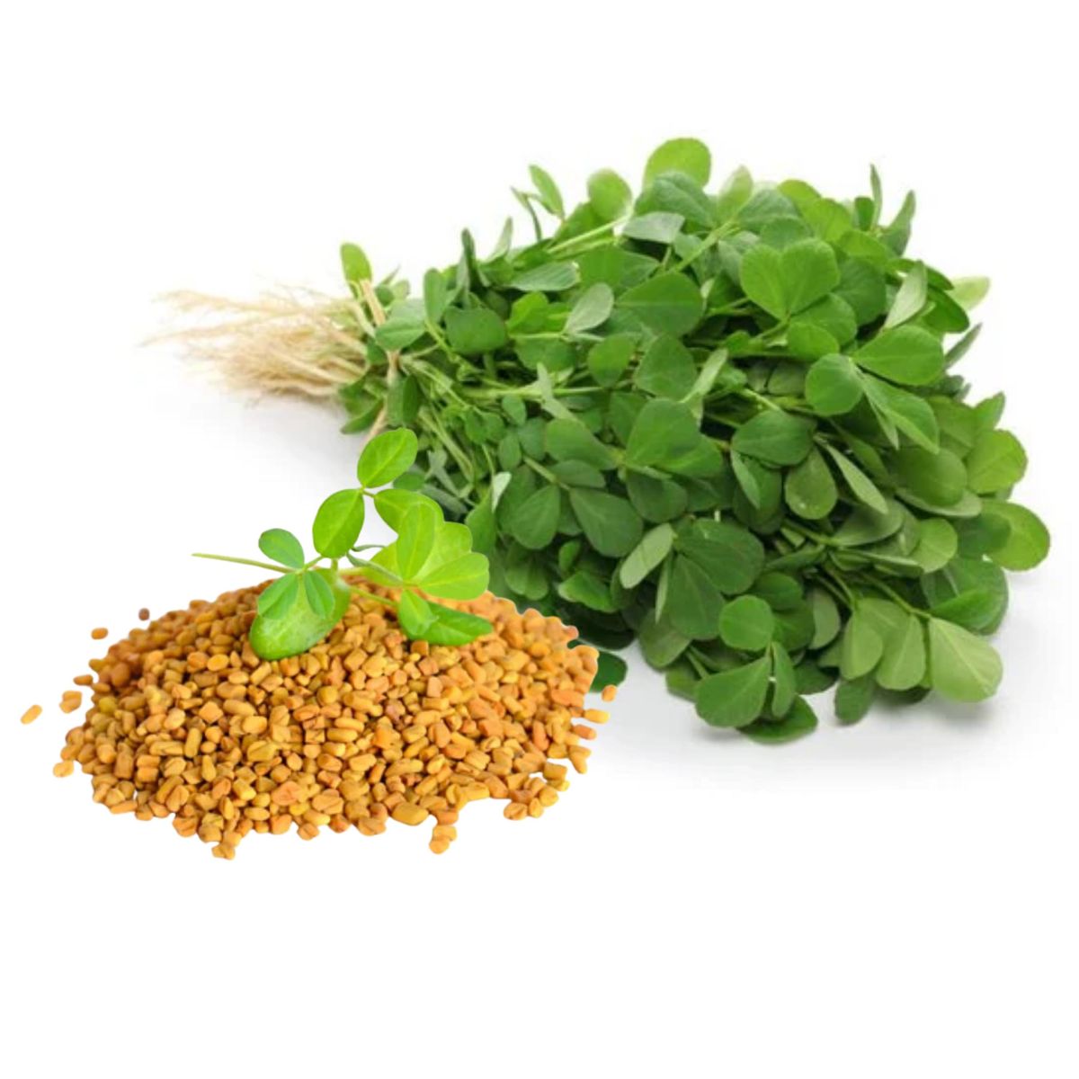 Methi Powder